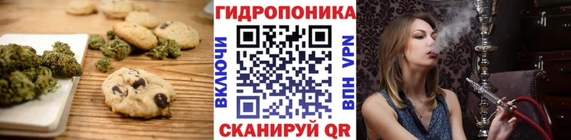 Canna-Cookies конопля  магазин продажи   Камышлов 