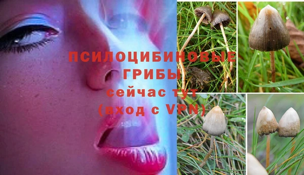 альфа пвп Волоколамск