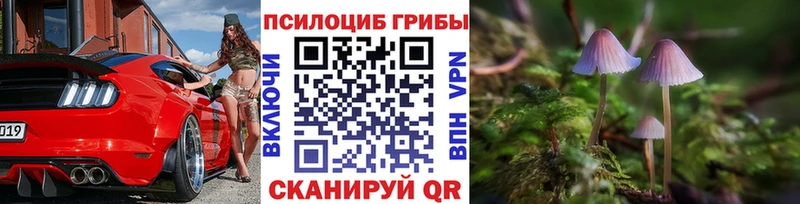Псилоцибиновые грибы прущие грибы  магазин  наркотиков  Камышлов 